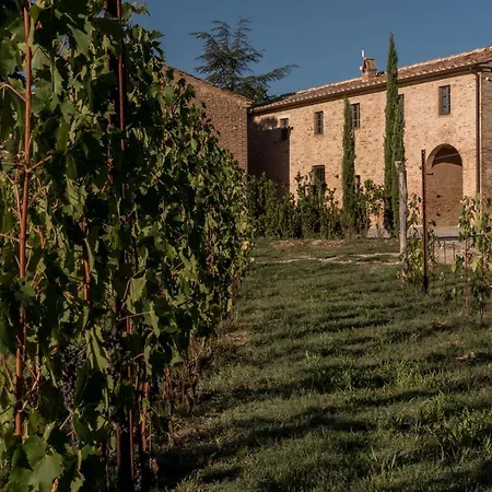 Podere Le Coppiole Montalcino